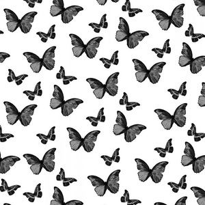 Meet your Posher, Kandecloset